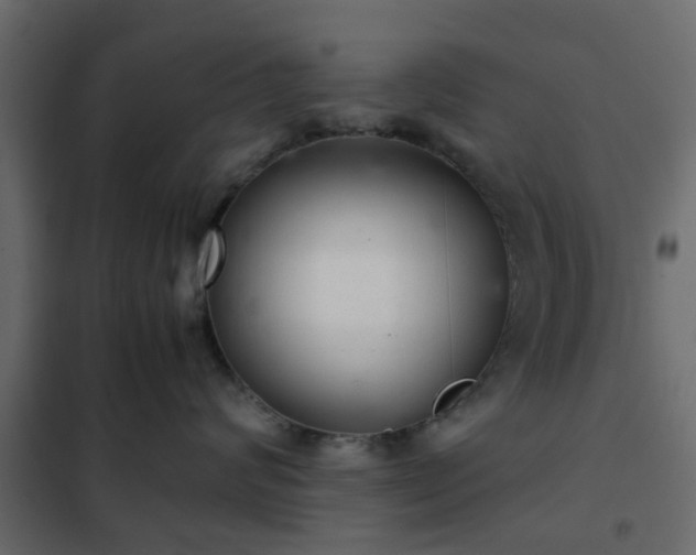 X0000102340624200808081132