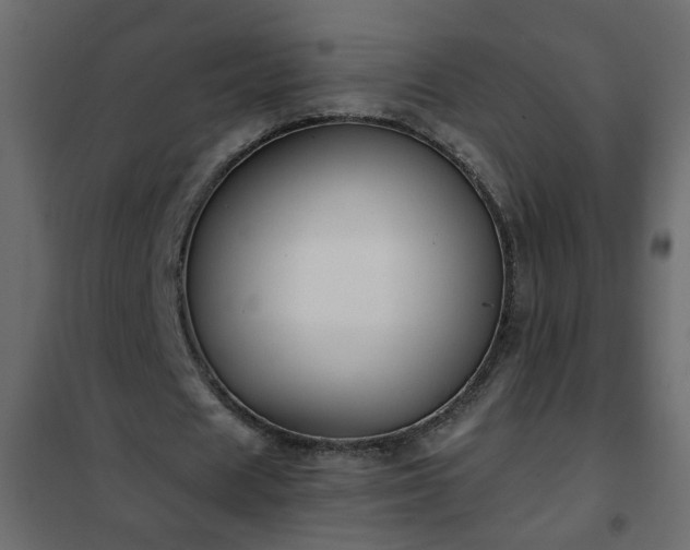 X0000102340625200808081131