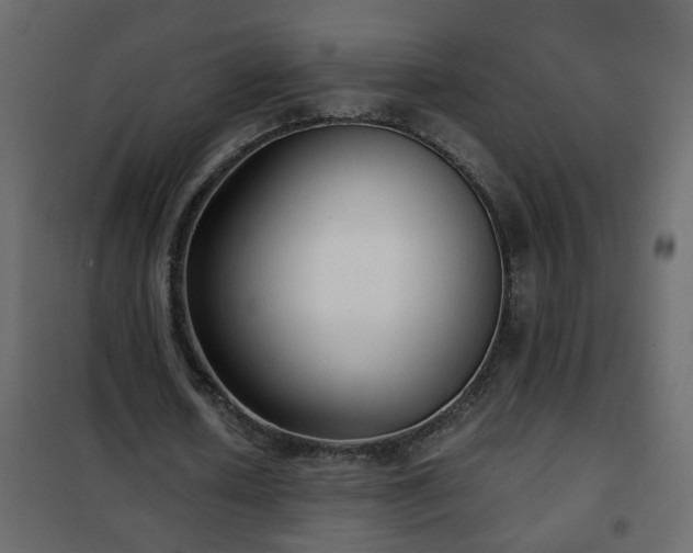 X0000102340626200808081131