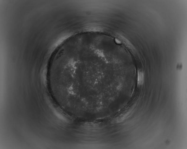 X0000102340627200808081131