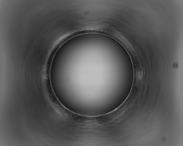 X0000102340628200808081131