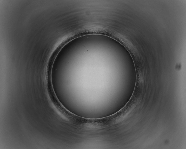 X0000102340630200808081131