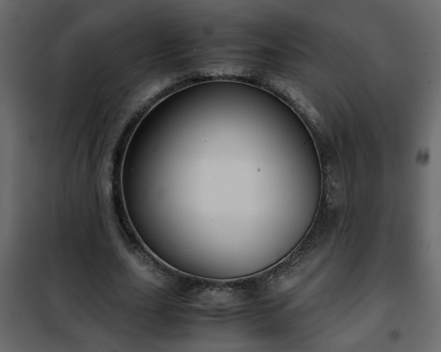 X0000102340631200808081132