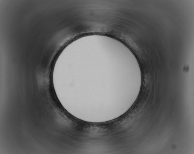 X0000102340632200808081132