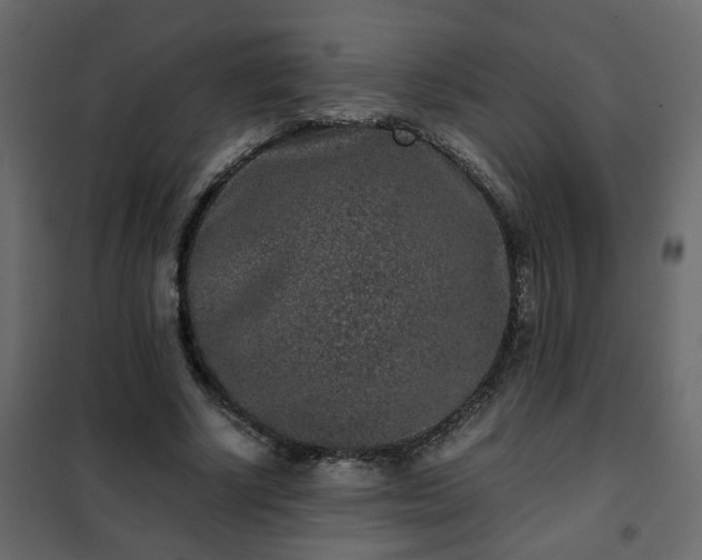 X0000102340634200808081132