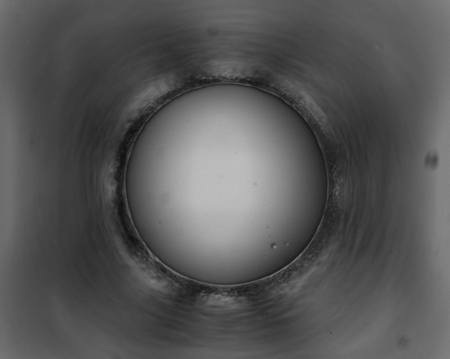 X0000102340635200808081132