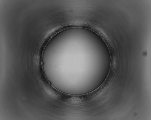 X0000102340636200808081132