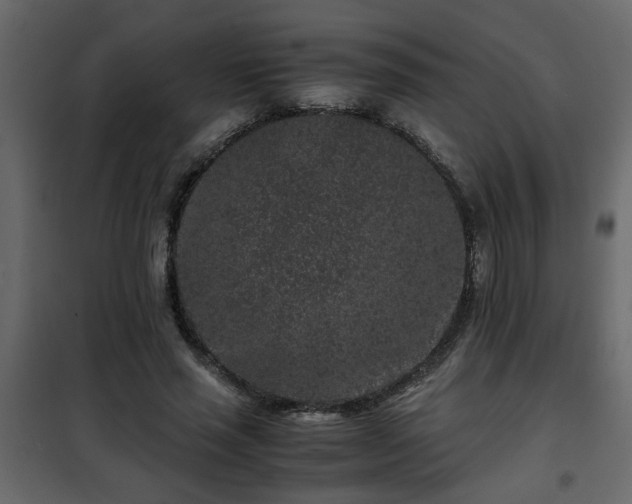 X0000102340637200808081132