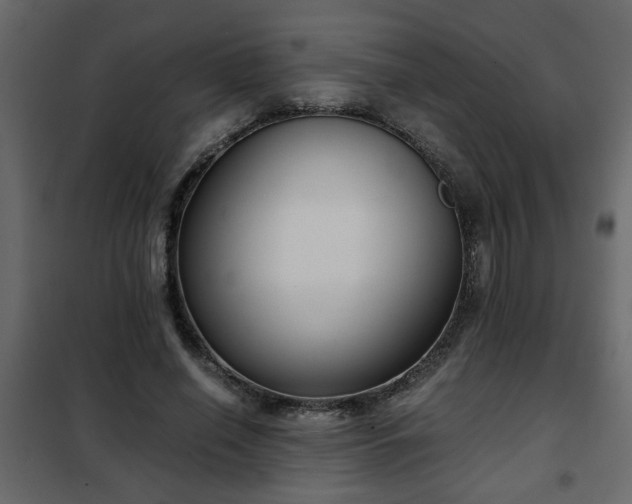 X0000102340638200808081132