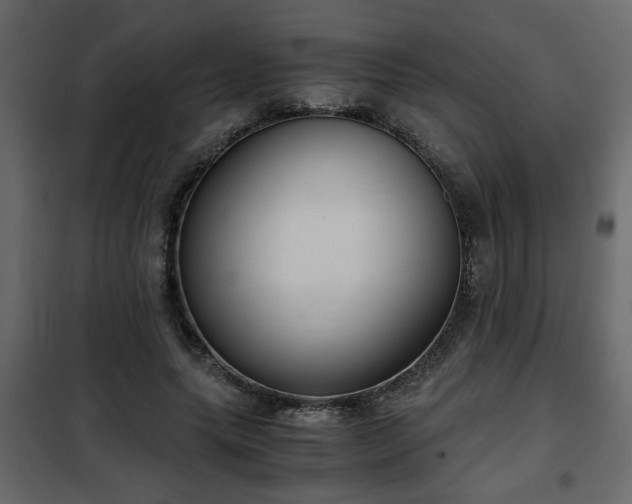 X0000102340639200808081132