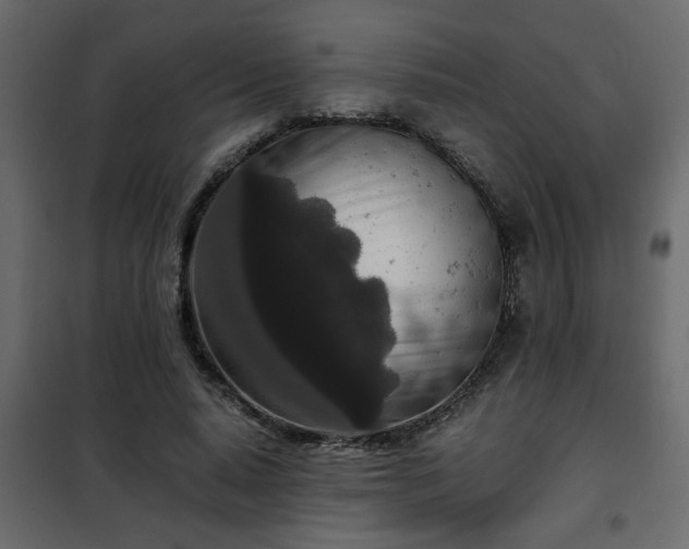 X0000102340640200808081132