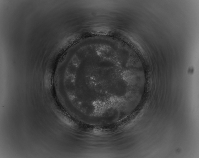 X0000102340641200808081132