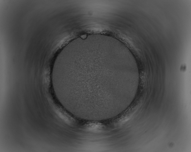 X0000102340642200808081132