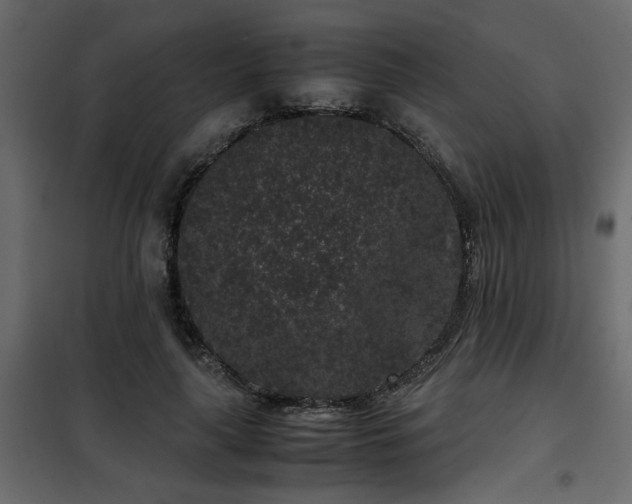 X0000102340643200808081132