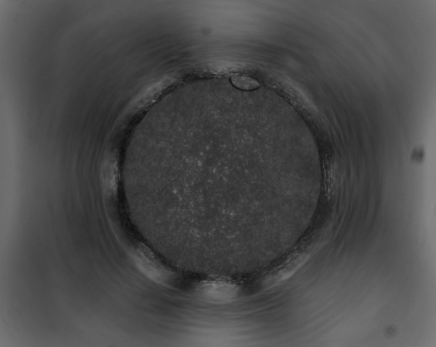 X0000102340644200808081132