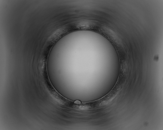 X0000102340645200808081132