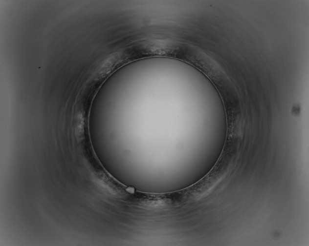 X0000102340646200808081132