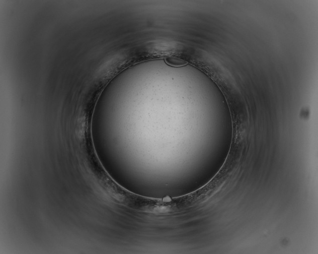 X0000102340647200808081132