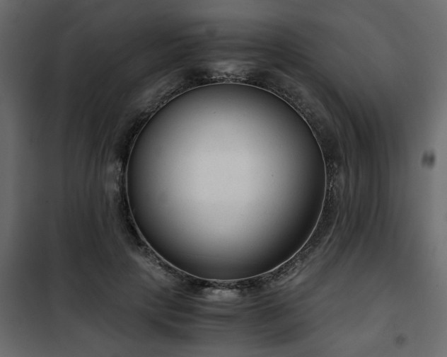 X0000102340649200808081132