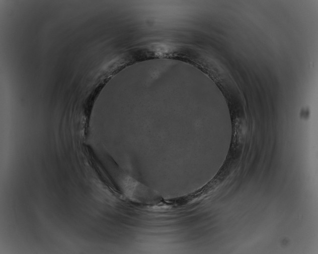 X0000102340650200808081132