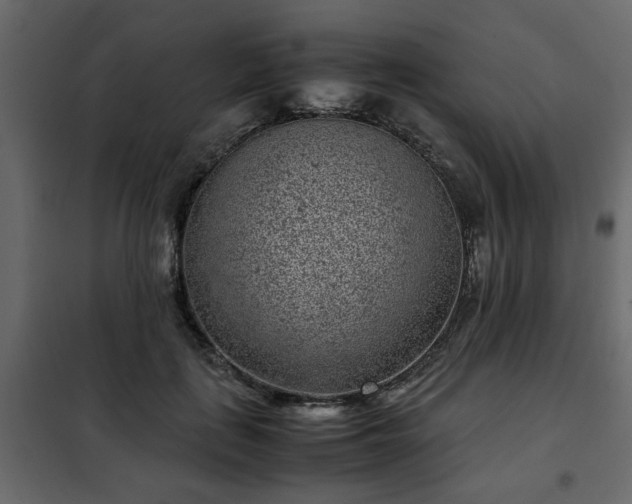 X0000102340651200808081132