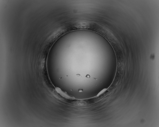 X0000102340652200808081132