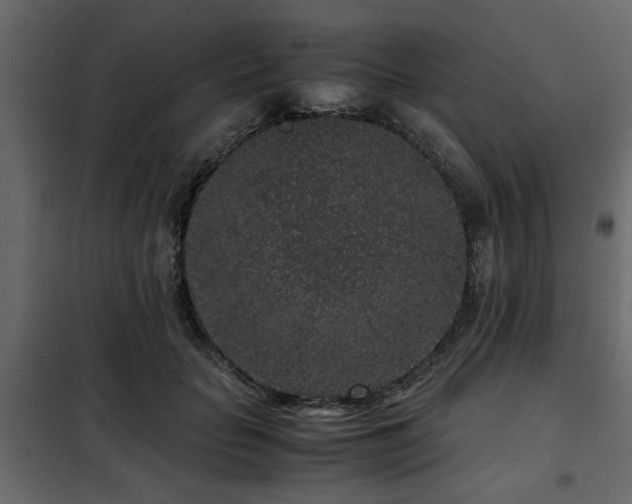 X0000102340653200808081132