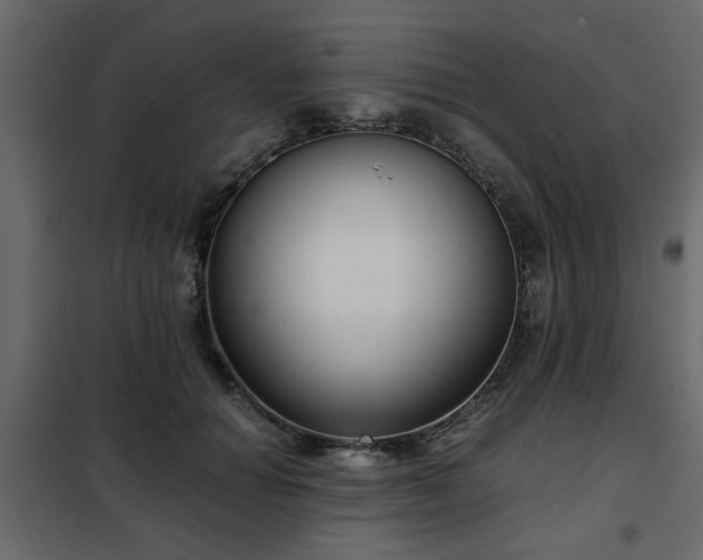 X0000102340654200808081132