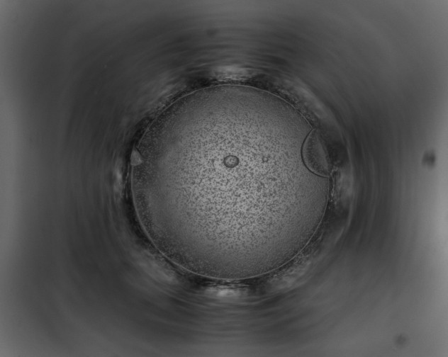 X0000102340655200808081132