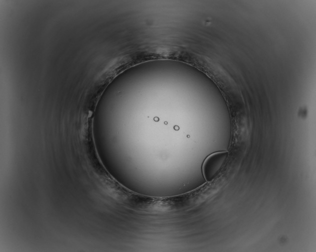 X0000102340656200808081132