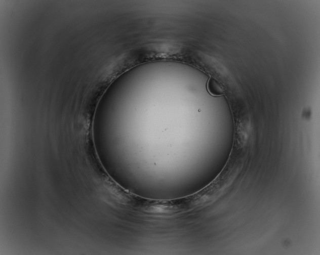 X0000102340657200808081132