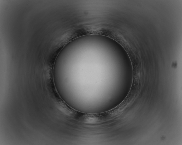 X0000102340658200808081132