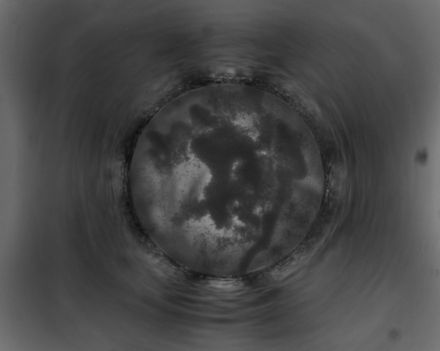 X0000102340659200808081132