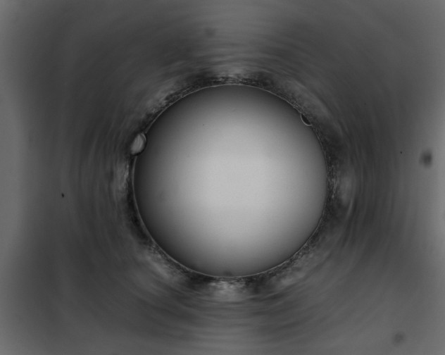 X0000102340660200808081132