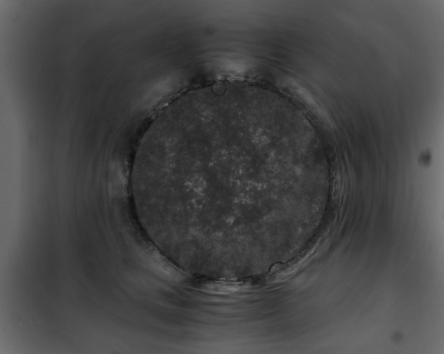 X0000102340661200808081132