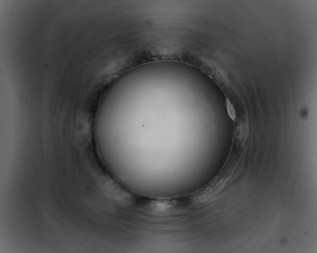 X0000102340662200808081132