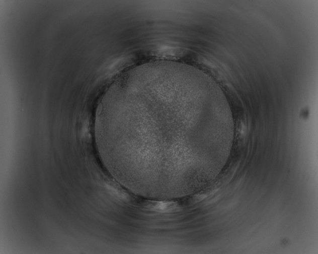 X0000102340663200808081132