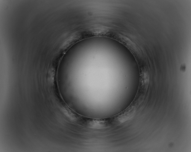 X0000102340664200808081132