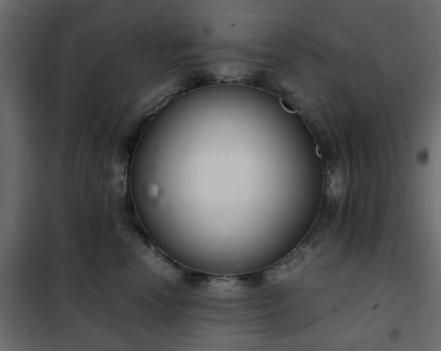 X0000102340666200808081132