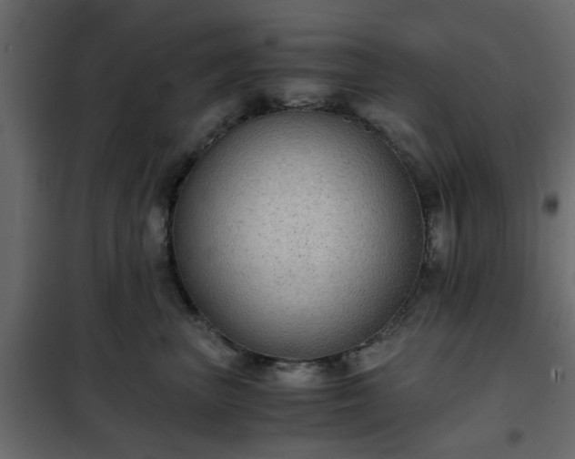 X0000102340667200808081132