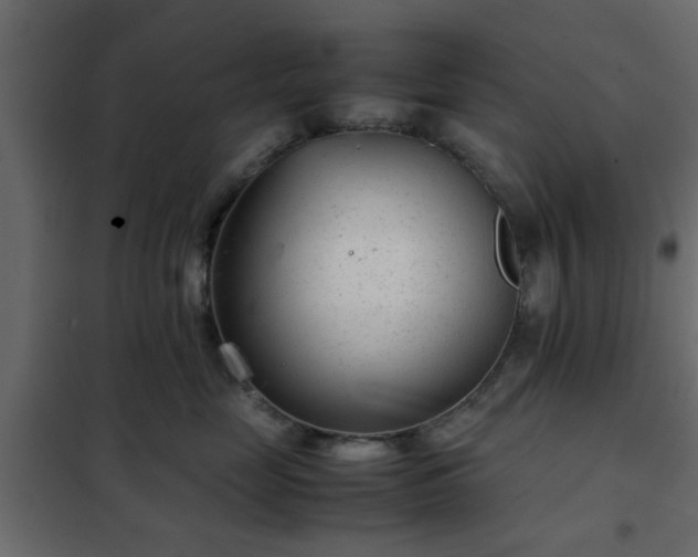 X0000102340669200808081132