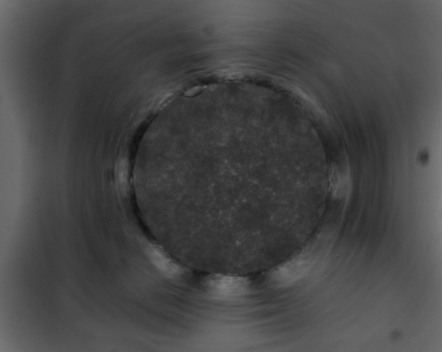 X0000102340670200808081132