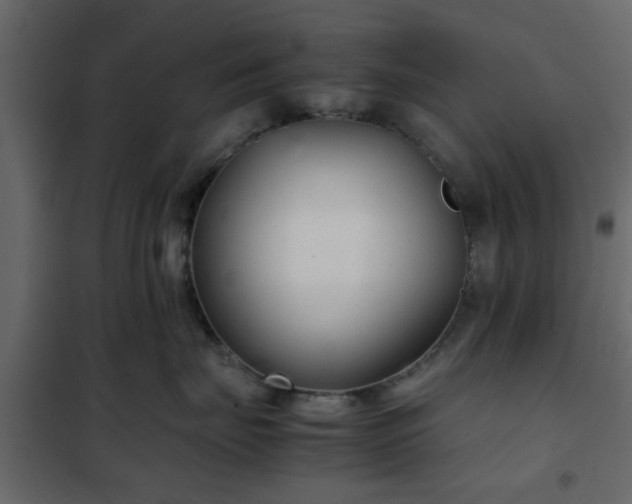 X0000102340671200808081132