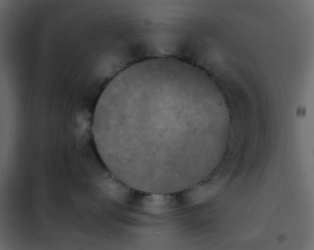 X0000102340672200808081132