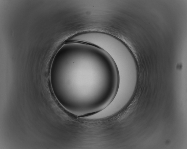 X0000102340673200808081131