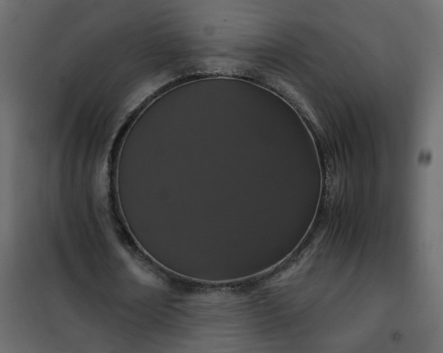 X0000102340674200808081131