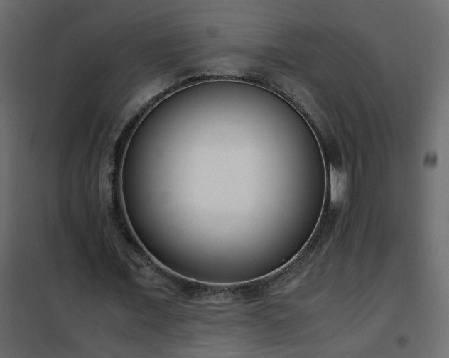 X0000102340675200808081131