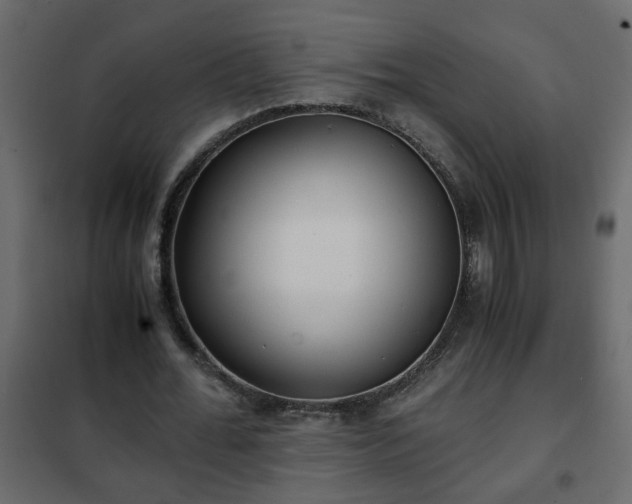 X0000102340676200808081131