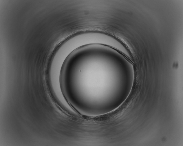 X0000102340677200808081131