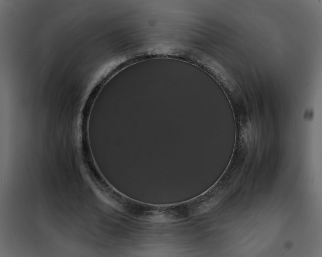 X0000102340678200808081131